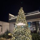 오늘의거제 | 거제 일운면 크리스마스 핫플 디저트 카페 인더스하버🎄