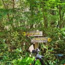 용바위농장 이미지