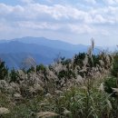 꽃과 바람의 언덕. 거창 감악산 억새 ( photo by 체칠리아 ) 이미지