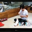 간식주까 이미지