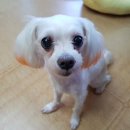 도야동물병원 이미지