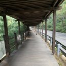 황금장묘사 | [23-24 한국관광100선] 광명 동굴 방문 후기