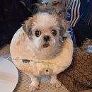 김성록동물병원 이미지