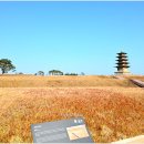 왕궁리유적 이미지