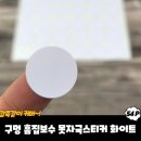 주식회사 화이트나무 이미지