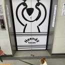 현대애견 이미지