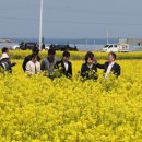 호미곶관광단지 이미지