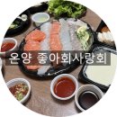 아산사랑회 | 아산횟집 좋아회사랑회 광어+우럭+연어 모듬회 중 포장후기!