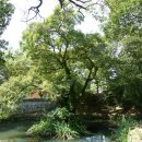 남간정사 이미지