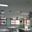 전주신성초등학교 네이버블로그