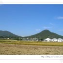 감로한의원 이미지