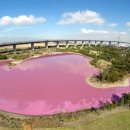 핑크 아케이드 이미지