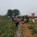 온양1동 행정복지센터 이미지