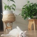 성모동물병원 이미지