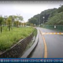 재인약품 네이버블로그