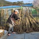 민경관농장 네이버블로그