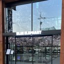 엘레펀트 | 성수동 블루엘리펀트 방문 후기 호? 불호?