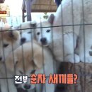 순자농장 이미지