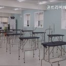 권트리머애견미용학원