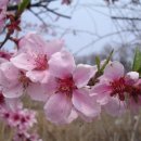 병우농장 이미지