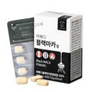 마카 티스토리