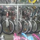 [대전]삼천리 레스포자전거 새제품 저렴하게 팝니다 이미지