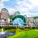 소노펠리체 이미지