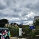 버디프렌즈(더플레닛) 이미지