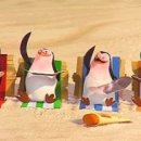 네이처컬렉션 이미지