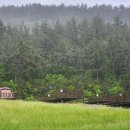 다온오토 이미지