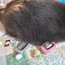 우주 PC방 | 어떤 사랑은 우주를 가로지르기도 하는 걸요