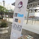 푸드트럭허가구역 | 구미 금오고 수능응원 푸드트럭 현장 자두씽 케이터링 간식차로 긴장 Down 레벨 Up