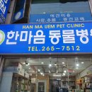 24시 서울YES동물병원 이미지