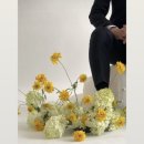 1268 | w7. 소르아 웨딩촬영 플라워 디렉팅 추천 업체 리스트 총정리💐(+내 기준 솔직후기)