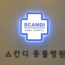 스칸디동물병원 이미지