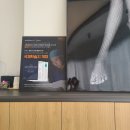 하피스의원 | 종아리보톡스 vs 종아리신경차단술 (내측3d시술) 1일차후기