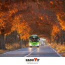 죽동마을 이미지