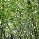 대전둘레산길(2구간) 이미지