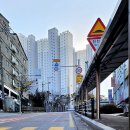 삼가초등학교 앞 이미지