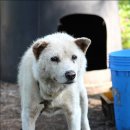 성웅농장 이미지