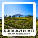 공곶이 | 거제 공곶이 축제 후기 수선화 코스 안내 셔틀버스 주차 꿀팁
