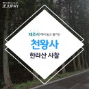 가을민박 이미지