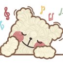 베리애견미용 네이버블로그
