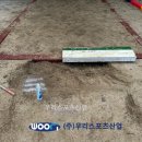 구미초등학교 - 성남시 분당구 | 구미초등학교