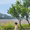 크로바펜션 - 강화군 해안남로 497-2 | 강화도 갯벌뷰 조용한 캠핑장_ 크로바 캠핑장 명당, 갯벌 , 매점 , 냉장고 , 샤워시설