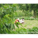 단이농장 이미지