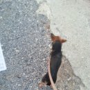 용덕주유소 이미지