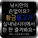 황금실내낚시터
