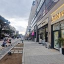 강남부동산센터공인중개사사무소 이미지