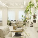 레비살롱